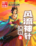 风流神针章节列表