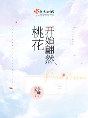 桃花开始翩然章节列表