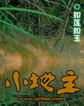 小地主章节列表
