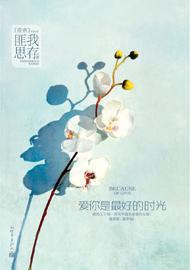 爱你是最好的时光章节列表
