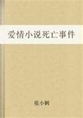 爱情小说死亡事件章节列表