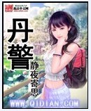 丹警章节列表