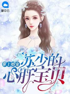 林楠苏慕槿章节列表