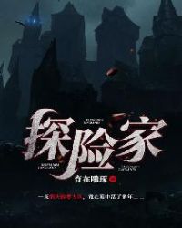 探险家章节列表