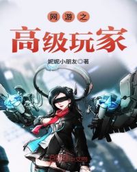 网游之高级玩家章节列表