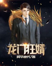 龙门狂婿章节列表