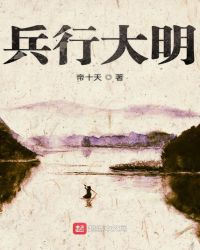 兵行大明章节列表