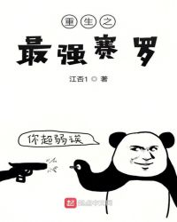 重生之最强赛罗章节列表