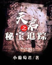 天启之秘宝追踪章节列表