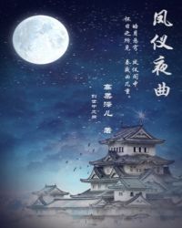 凤仪夜曲章节列表