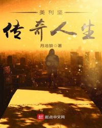 美利坚传奇人生章节列表