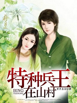 特种兵王在山村章节列表