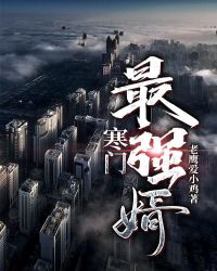 寒门最强婿章节列表