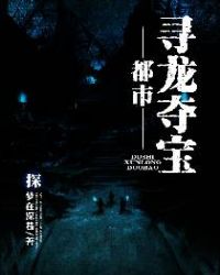 都市寻龙夺宝章节列表