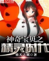 神奇宝贝之精灵时代章节列表