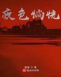 夜色惝恍章节列表