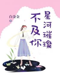 星河璀璨不及你章节列表