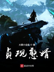 贞观憨婿章节列表