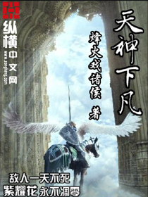 天神下凡章节列表