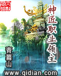 神匠职业领主章节列表