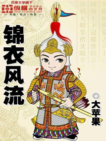 锦衣风流章节列表