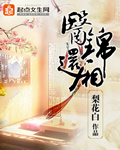 医锦还厢章节列表