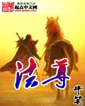 法尊章节列表