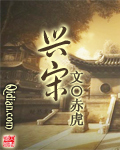兴宋章节列表