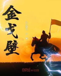 金戈壁章节列表