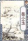 岳小玉续章节列表