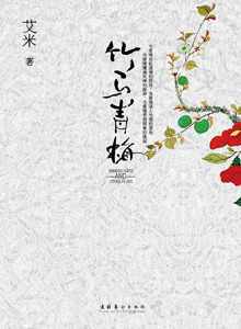 竹马青梅章节列表