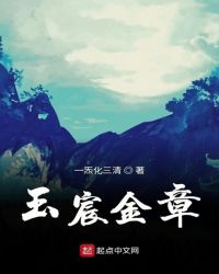 玉宸金章章节列表