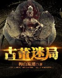 古董迷局章节列表