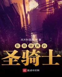 影视世界的圣骑士章节列表