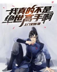 我真的不是绝世高手啊章节列表