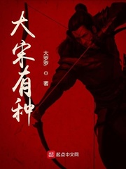 大宋有种章节列表