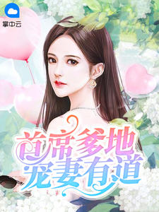 首席爹地宠妻有道章节列表