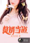 我是赘婿岳风章节列表