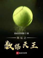 网坛之数据天王章节列表