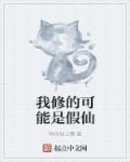 我修的可能是假仙章节列表