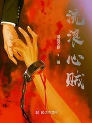 流浪心贼章节列表