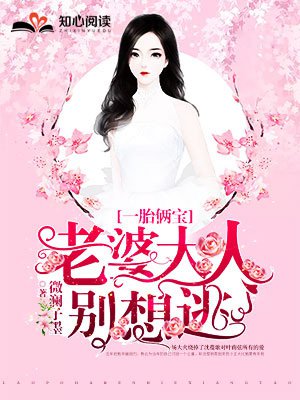沈蔓歌叶南弦全文免费阅读章节列表