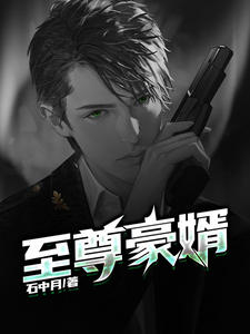 至尊神婿叶昊郑漫儿章节列表