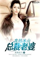 我的冰山总裁老婆（叶雄杨心怡（叶雄全文免费阅读））章节列表