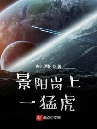 景阳岗上一猛虎高宁章节列表