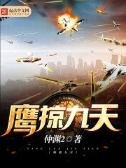 鹰掠九天章节列表