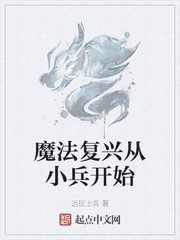 魔法复兴从小兵开始章节列表