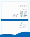 渣男洗白手册章节列表