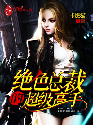 女总裁超级高手叶无道章节列表