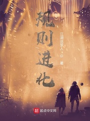 规则进化章节列表